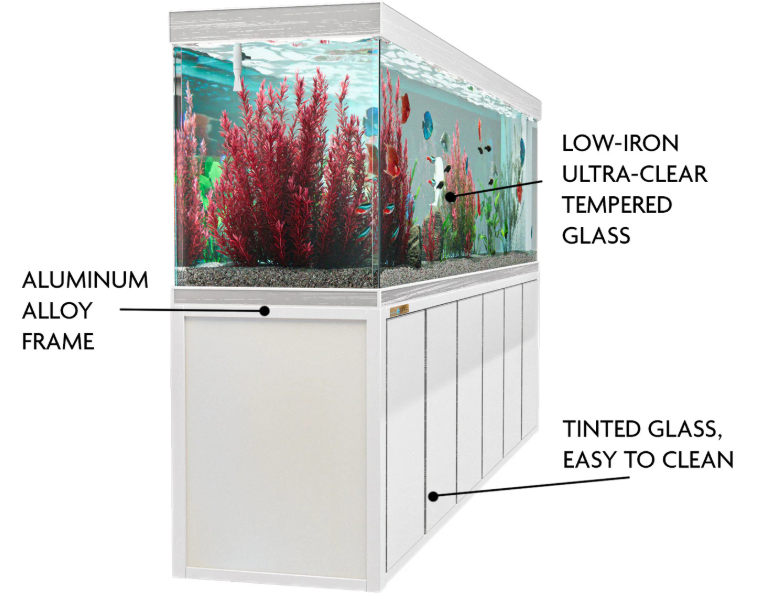 500 gallon fish tank